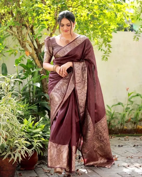 Brown_Embellished_Banarasi_Jacquard_Saree_(Brown)